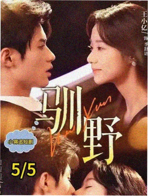 暗巷点灯人刑侦剧全集
